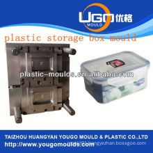 zhejiang taizhou huangyan battery container mould and 2013 New household plastic injection tool box mouldyougo mould